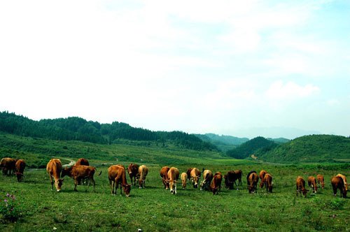 Qinglong County（A county under the jurisdiction of the Qianxinan Buyei ...