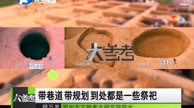 the Shuanghuaishu site（中国鄭州市にある第7回河南省文物保護単位）_