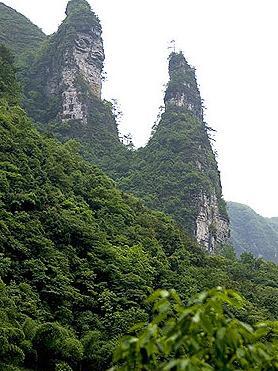 Monkey Valley_Baiduwiki