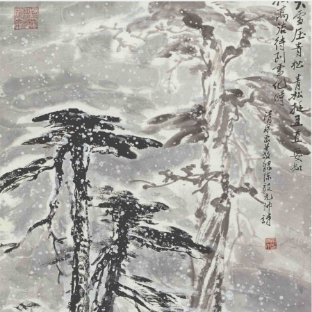 青松_百度百科