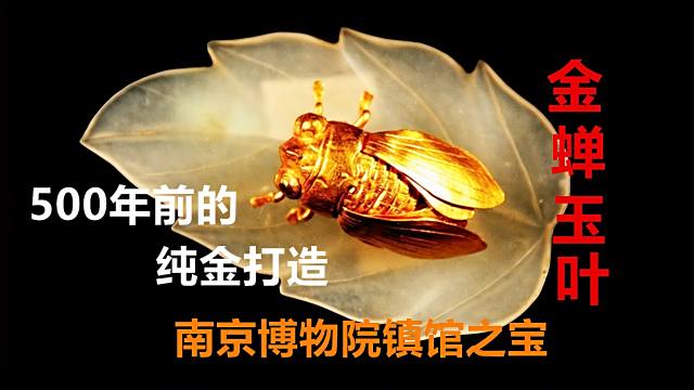 明金蝉玉玉葉_百度百科