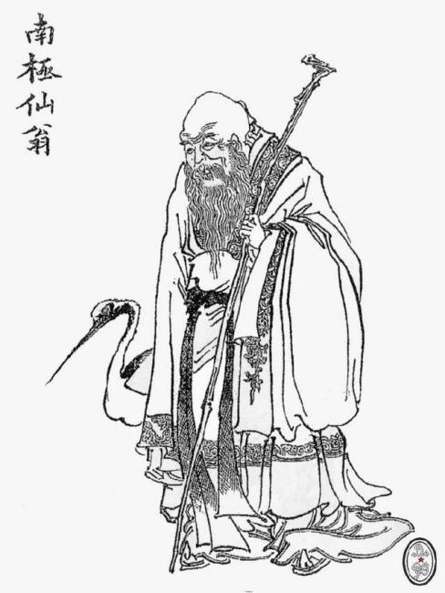 南極仙翁　　額縁 南極仙翁_百度百科
