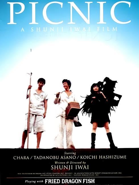 岩井俊二　ピクニック A3ポスター ピクニック（日本の1996年公開の岩井俊二監督によるファンタジー映画
