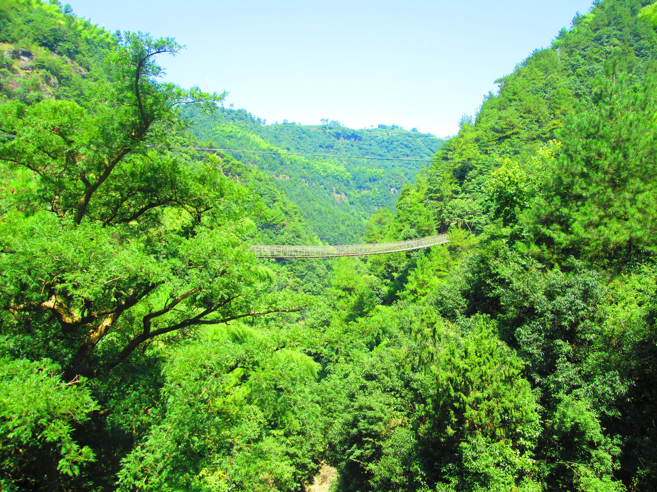 山重水復路疑うらくは無からんと、柳暗花明又一村_百度百科