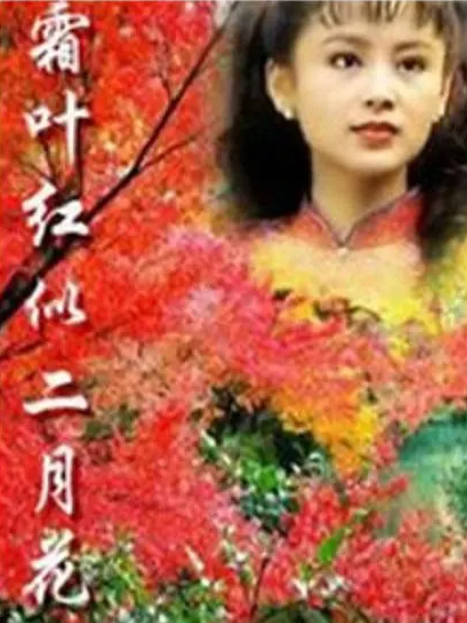 掛け軸 書 孝峰 筆「停車坐愛楓林晩 霜葉紅於二月花」杜牧 漢詩 茶掛け