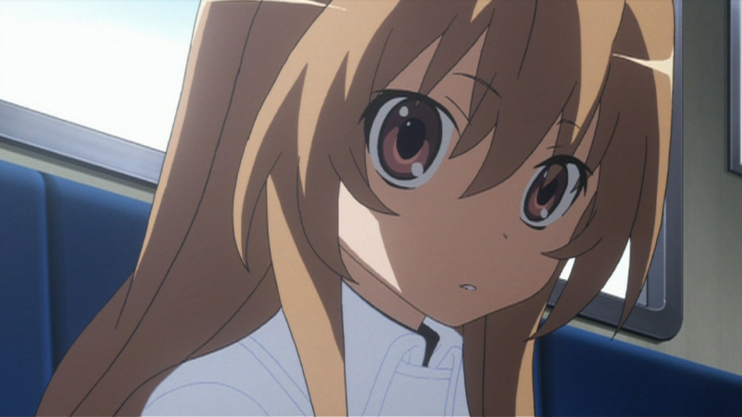 Aisaka Taiga（A character in the Japanese light novel *Toradora!*）_Baiduwiki