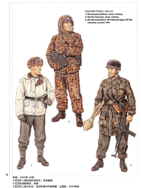 Schutzstaffel（The intelligence, security, and military organization of ...