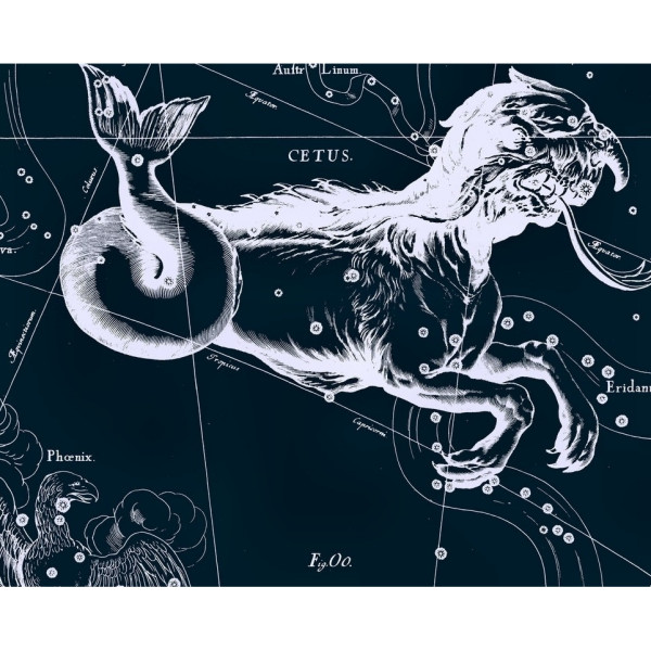 88星座_百度百科
