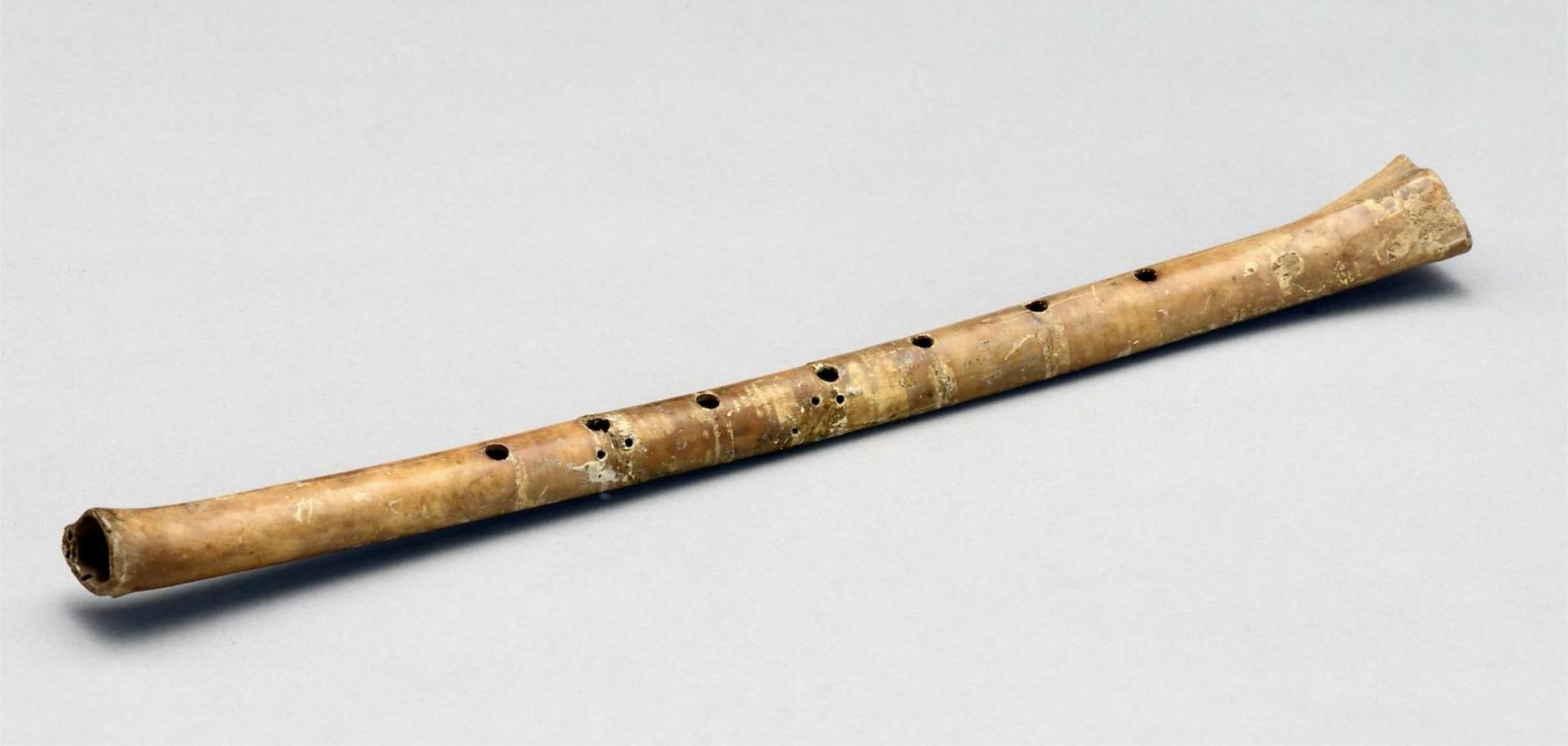 Jiahu Bone Flute（Artifact）_Baiduwiki