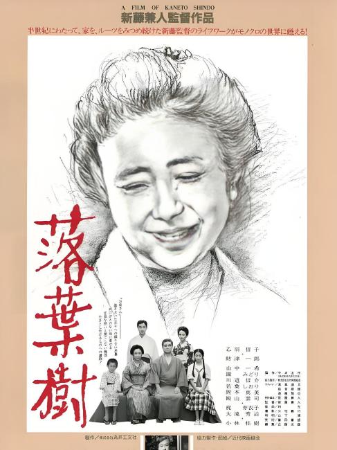 落葉樹_百度百科