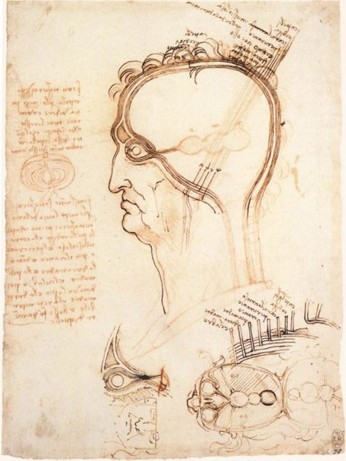 Leonardo da Vinci（Italian polymath, one of the three masters of the ...
