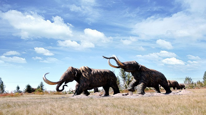 Mammoth_Baiduwiki