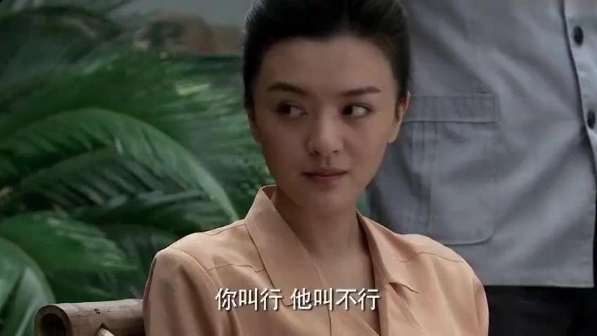 Linlin Fan（Chinese mainland actress）_Baiduwiki