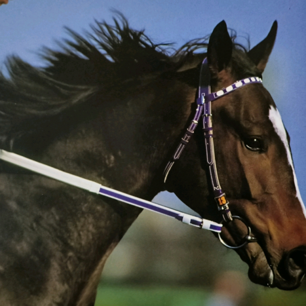 スペシャルウィーク（1995年生まれの日本競走馬）_百度百科