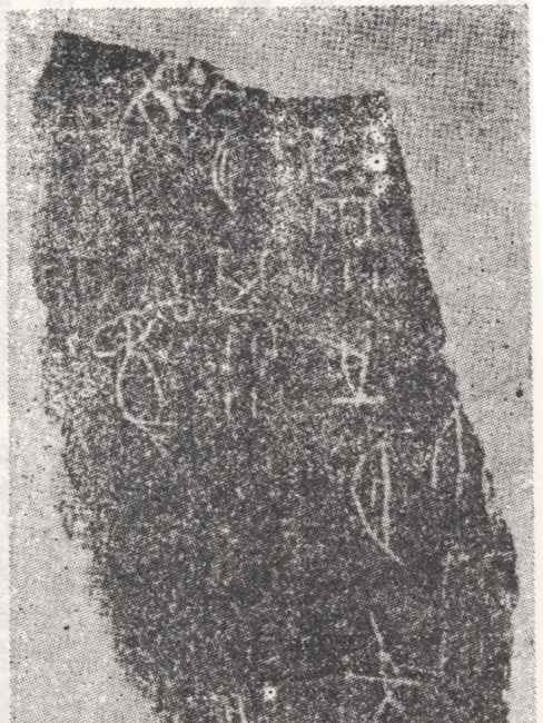 Oracle Bone Inscriptions_Baiduwiki