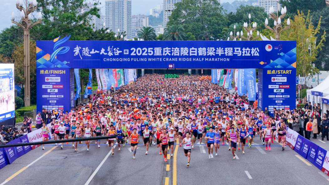 2025 Chongqing Fuling Baiheliang Half Marathon_Baiduwiki