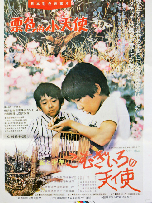 こむぎいろの天使 雀と少年_百度百科