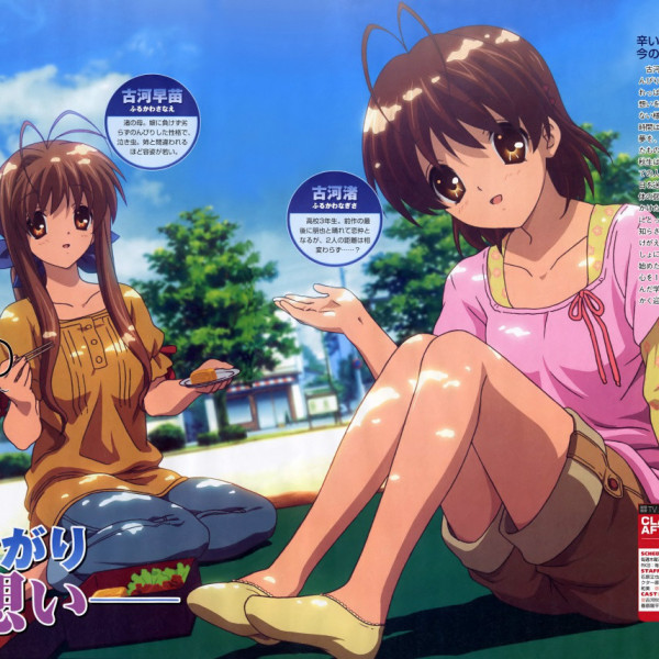 CLANNAD ～AFTER STORY～（京都アニメーションが制作したテレビアニメ