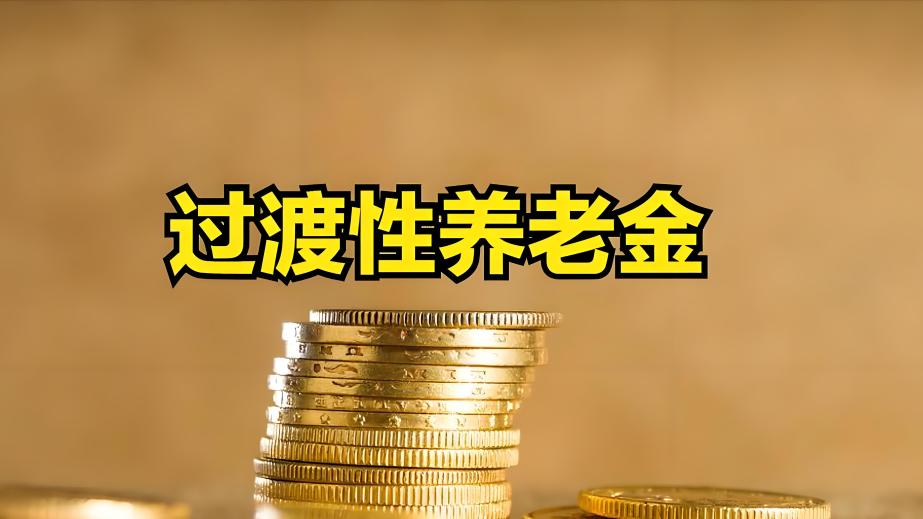 Transitional Pension_Baiduwiki