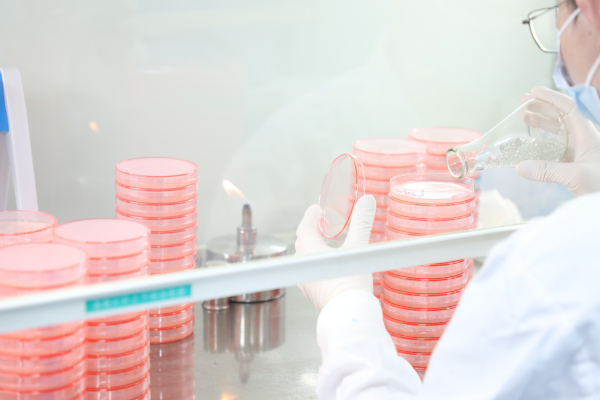 Entorno de laboratorio