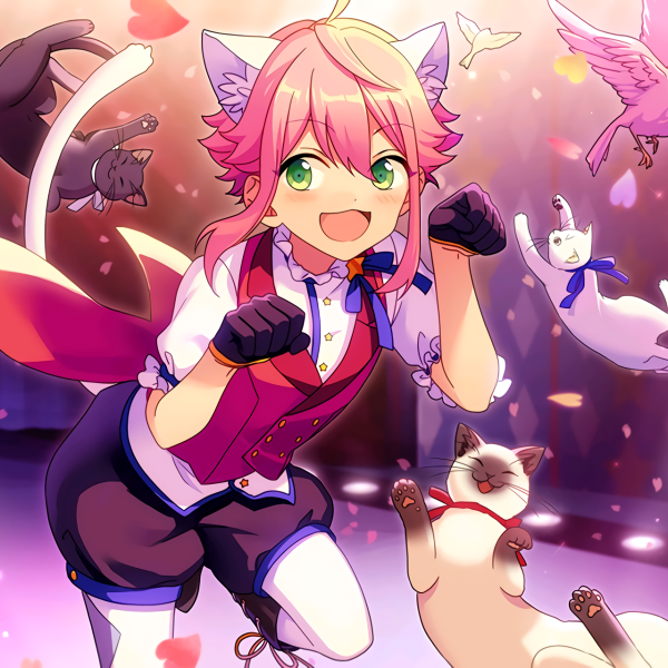 姫宮桃李_百度百科