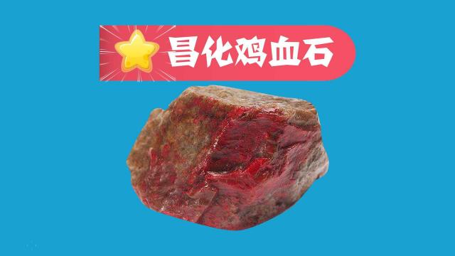 29美品『天然石、鶏血石、中国浙江昌化産印石』 昌化鶏血石 | 上杉文林堂