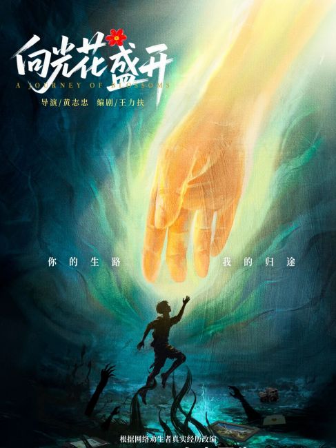 光に向かって花が咲く_百度百科