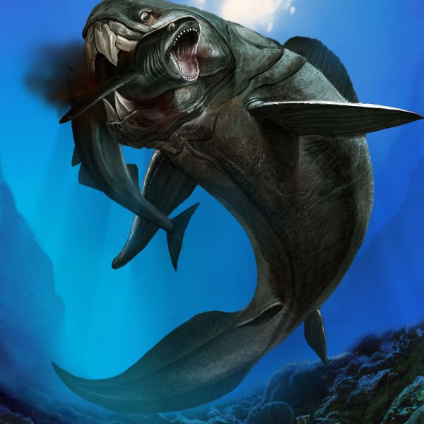 DunkleosteusAn animal of the genus Dunkleosteus in the family  Dinichthyidae._Baiduwiki