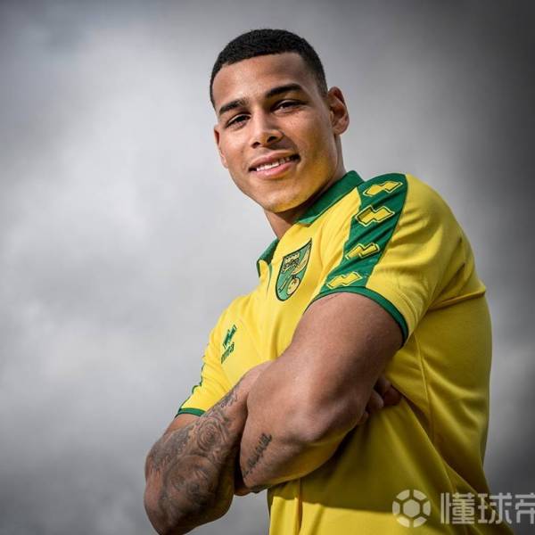 オネル・エルナンデス_百度百科
