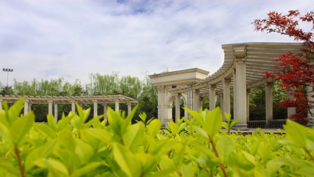 Chengdu University of Information Technology（a public institution of ...