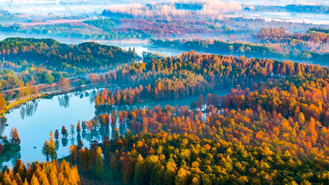 Qingxi Country Park_Baiduwiki