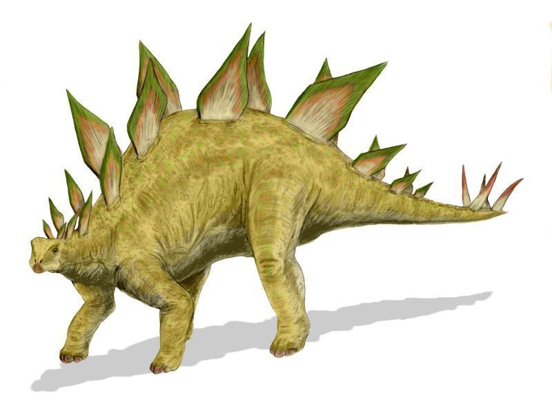 ステゴサウルス_百度百科