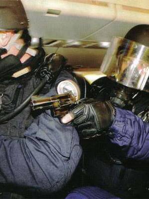 GIGN（A special assault team engaged in counter-terrorism operations ...