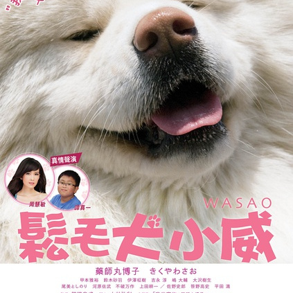 新聞広告.19 わさお 2018 秋田犬わさお_百度百科