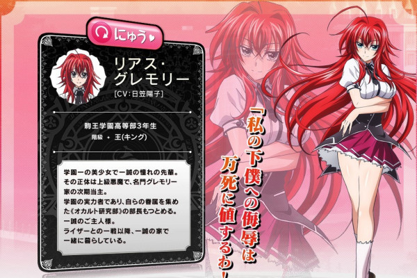 ハイスクールD×D（石踏一栄による長編小説）_百度百科