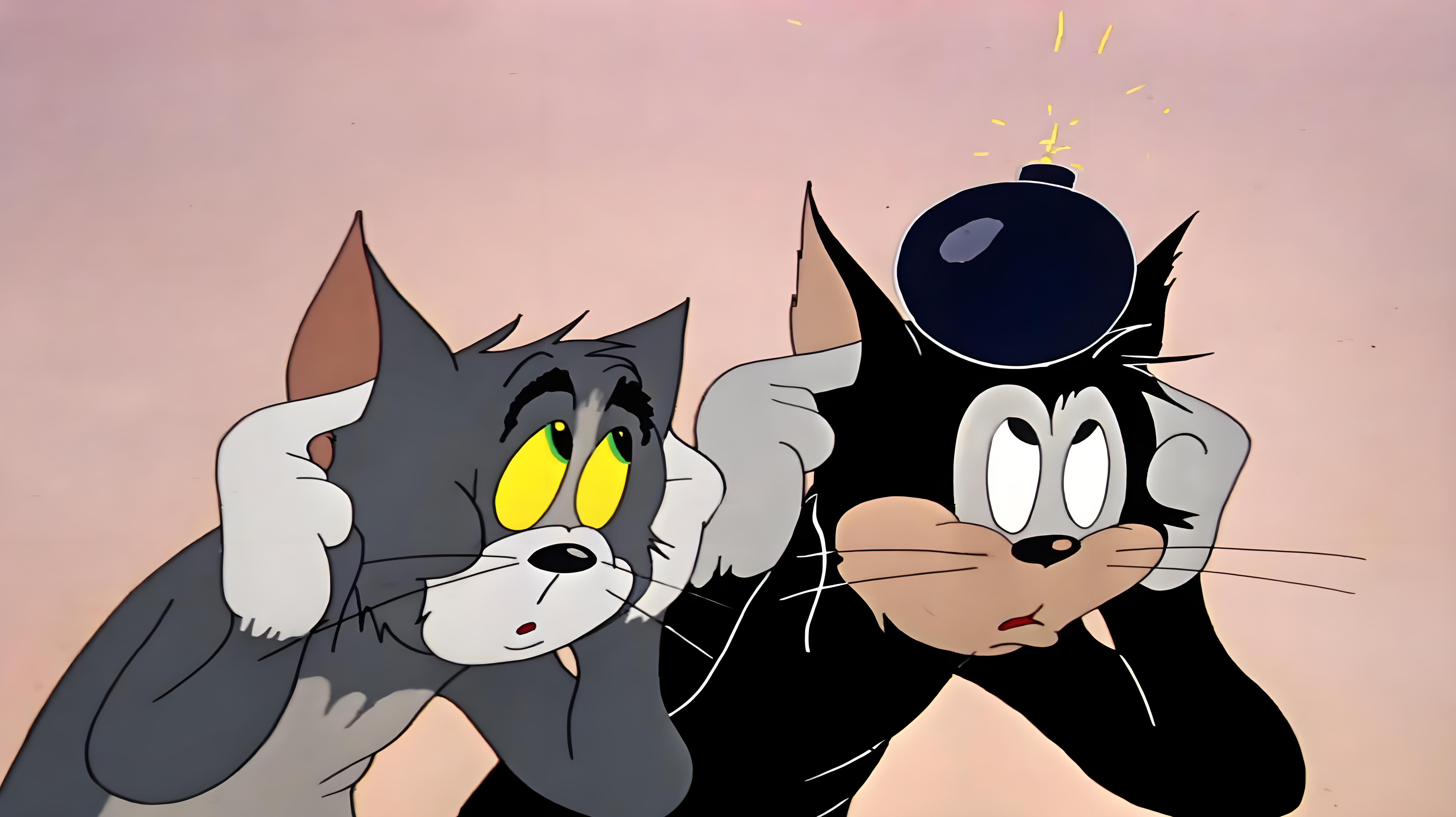 Tom and Jerry（An animated series produced by Metro-Goldwyn-Mayer ...
