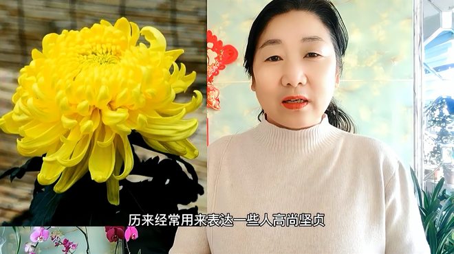 梅蘭竹菊（文化象徴）_百度百科