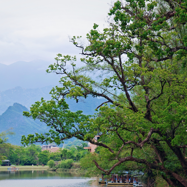 桂林山水風景区_百度百科