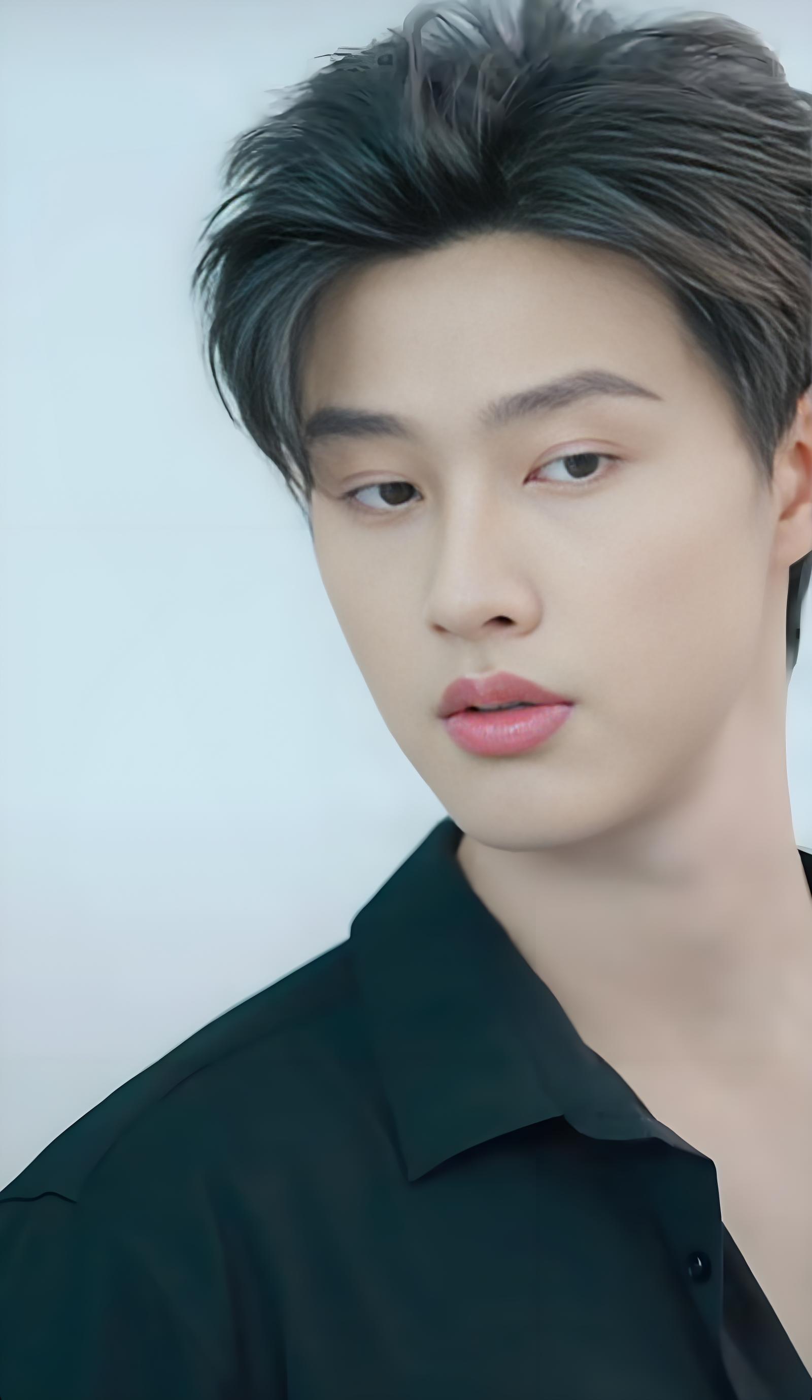 Min Jie（actor）_Baiduwiki