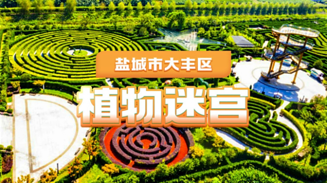 夢幻迷宮_百度百科