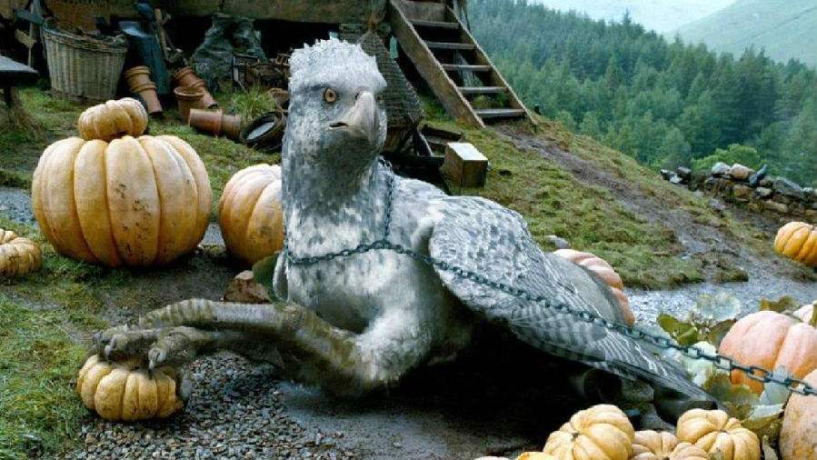 Buckbeak（A magical creature in the Harry Potter series by J.K.