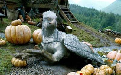 SF・ファンタジー・ホラー Harry Potter Magical Creatures Buckbeak