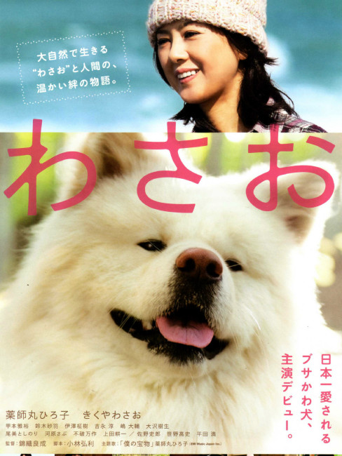 秋田犬わさお_百度百科