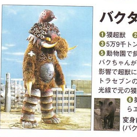 バクタリ_百度百科