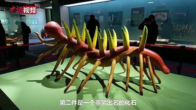 チェンジャン生物群_百度百科