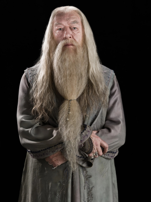 Albus Percival Wulfric Brian Dumbledore（ファンタジー小説シリーズ