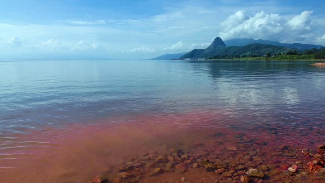 Fuxian Lake Pink Beach_Baiduwiki