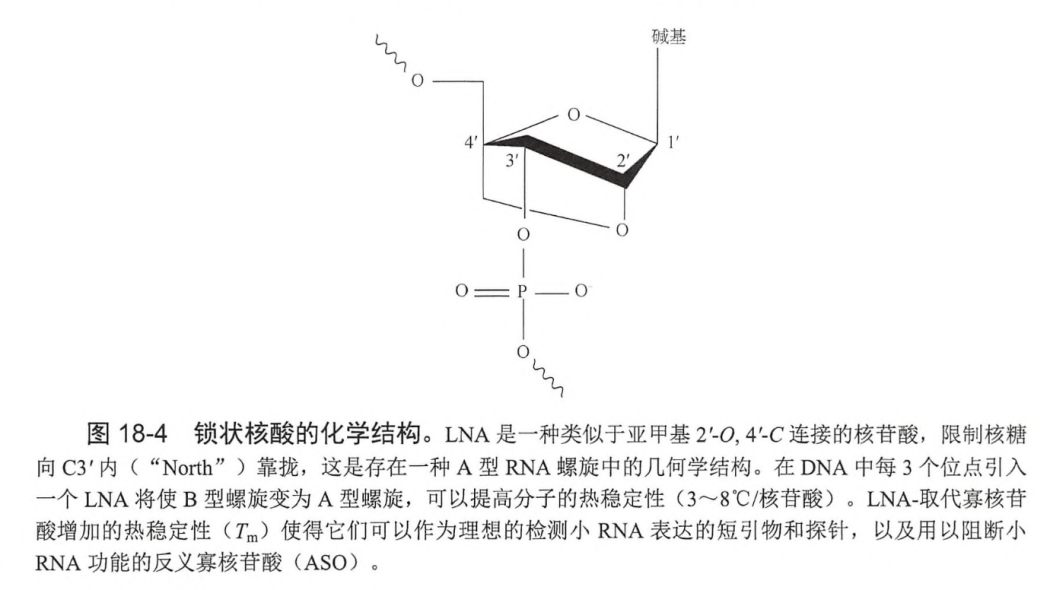 Small interfering RNA_Baiduwiki