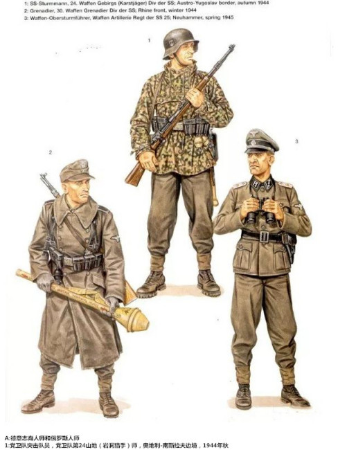 Schutzstaffel（The intelligence, security, and military organization of ...