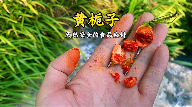 クチナシ（アカネ科クチナシ属の植物）_百度百科